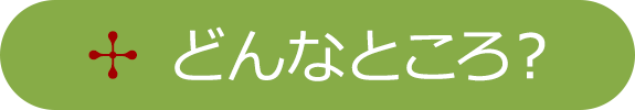 どんなところ？